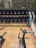 Gold Gym Roma