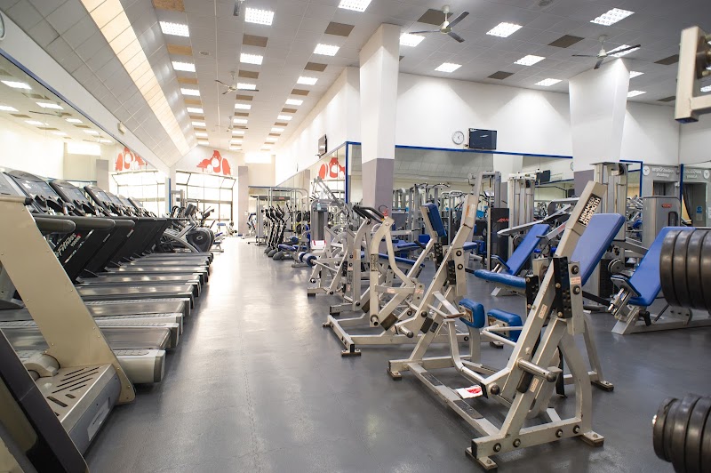 Mister Gym Palestra