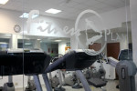 Palestra Fitness Play Monteverde