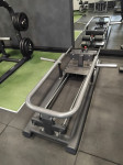 Muscle Fitness