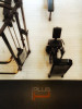 Plus 1 Gym Concept - Palestra